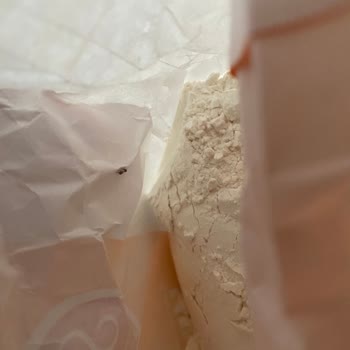 Böcekli Un Skandalı: Sağlığımız Tehlikede!