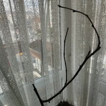 Fidan Diyarı (fidandiyarim.com) Kurumuş Ürünler Ve İletişimsizlik