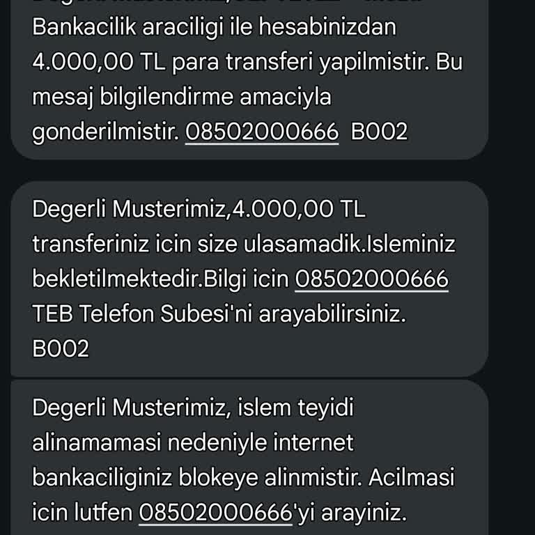 TEB Bankası'nda Hesap Blokesi Ve Para Transferi Sorunu