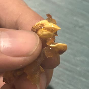 Safrantat Lokumda Tehlikeli Antep Fıstığı Sürprizi