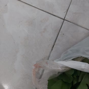 Gıda Güvenliği İhlali: Kanlı Teslimat Skandalı