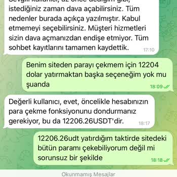 Temu Alışveriş Sitesinde Para Çekme Sorunu