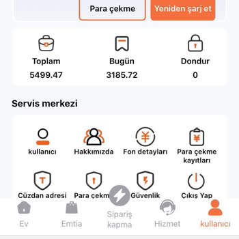 Temu Alışveriş Sitesinde Para Çekme Sorunu