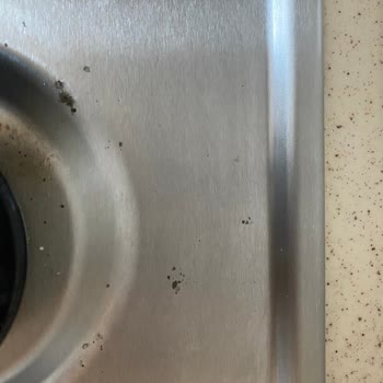 Ocak Ürününde Erken Lekelenme Ve Yetersiz Servis Hizmeti