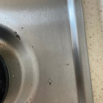 Ocak Ürününde Erken Lekelenme Ve Yetersiz Servis Hizmeti