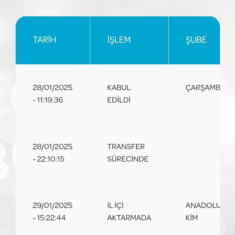 PTT Kargo'nun Aşırı Yavaş Teslimat Süreci