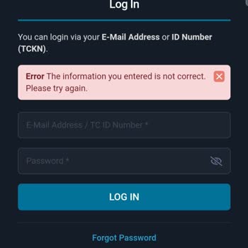 Hesap Erişim Sorunu Ve Geciken Çözüm Süreci