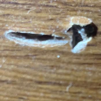 Baymak Teknik Servis Montaj Sorunları Ve İlgisizlik