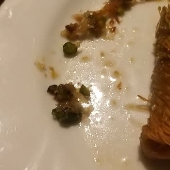 Tatlıda Bezelye Şoku: Antep Fıstıklı Sarma Kadayıf Hayal Kırıklığı