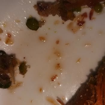 Tatlıda Bezelye Şoku: Antep Fıstıklı Sarma Kadayıf Hayal Kırıklığı