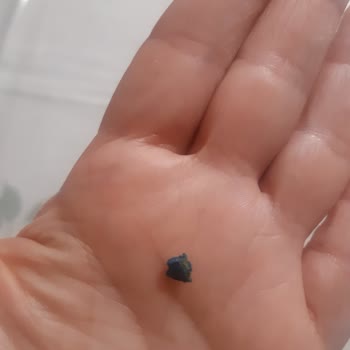 Dondurulmuş Börekten Plastik Çıktı: Sağlık Tehlikesi!
