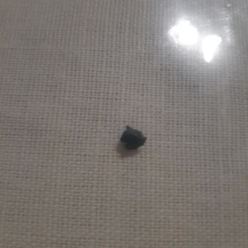 Dondurulmuş Börekten Plastik Çıktı: Sağlık Tehlikesi!