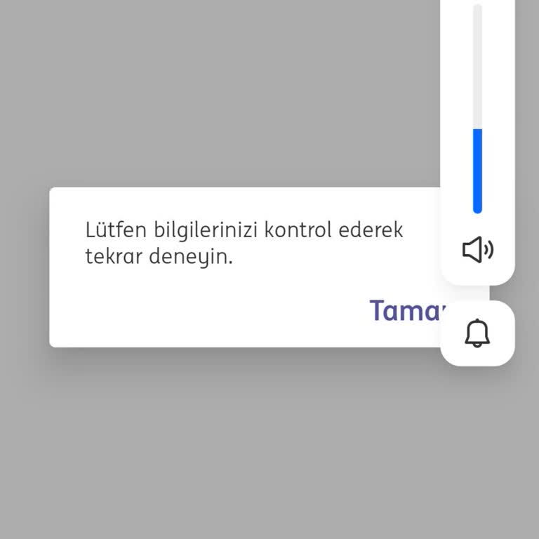ING Bankası'nın İlgisiz Müşteri Hizmetleri