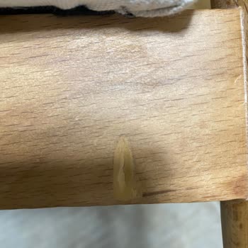 Leviosa Bohemian Yanlış Renk Berjer Ve Kusurlu Koltuklarla Hayal Kırıklığı