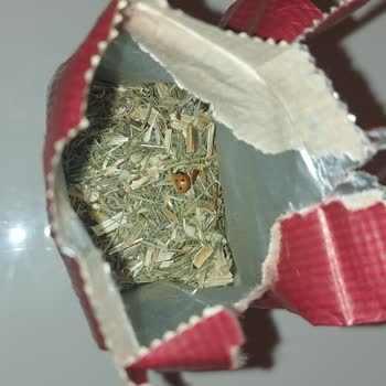 Arifoğlu'ndan Aldığım Bitki Paketinden Böcek Çıktı!