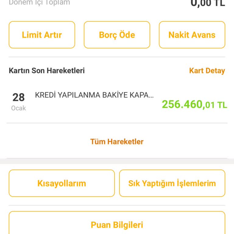 VakıfBank Kredi Kartı Blokesi Ve Yapılandırma Sorunu