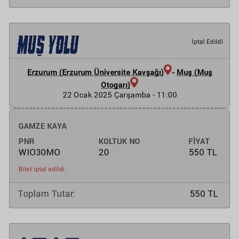 İade Edilmeyen Bilet Ücreti Ve Ulaşılamayan Müşteri Hizmeti