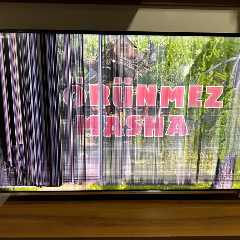 Regal TV Panel Değişimi Ve Yüksek Ücret Sorunu