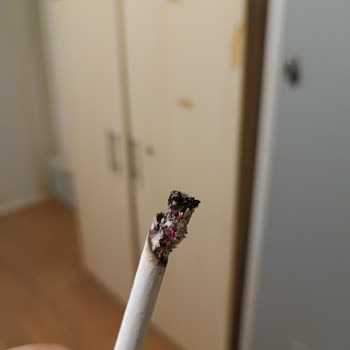 Türkiye'de Sigaraların İçeriği Şaşırtıyor