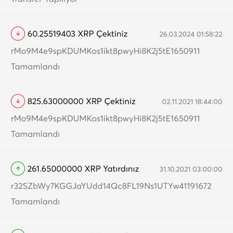 BitTurk Borsasında XRP Transfer Sorunu