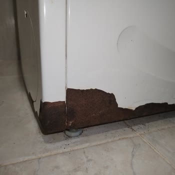 Garantili Üründe Haksız Ücret Talebi Ve Müşteri Hizmetleri Sorunu