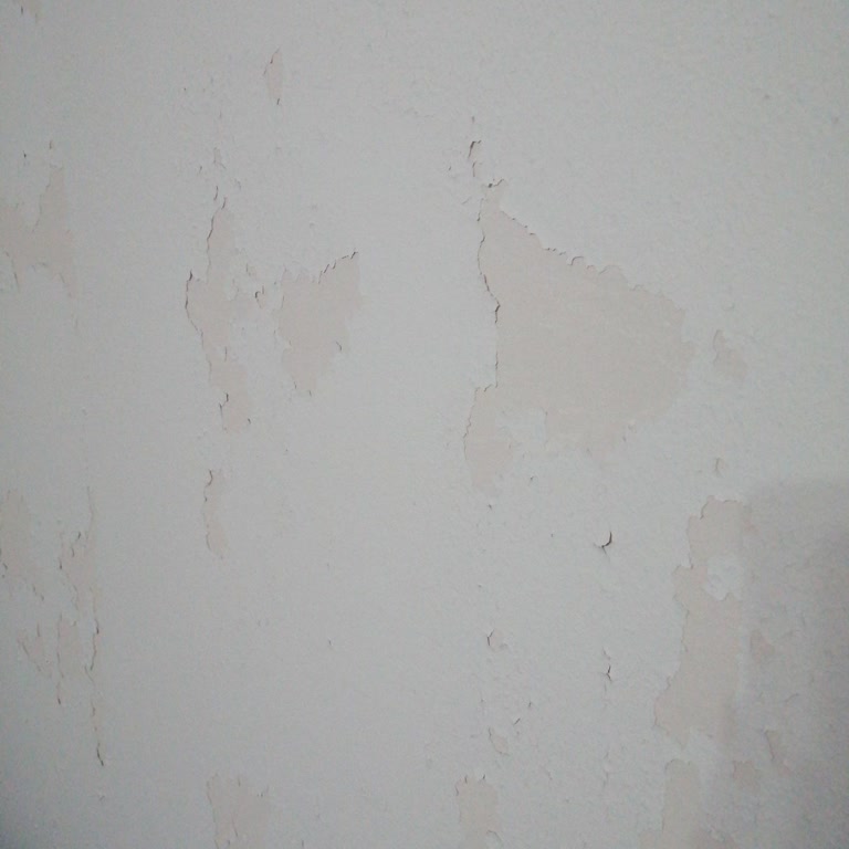 Casati Boya'nın Silinmez Sorunu