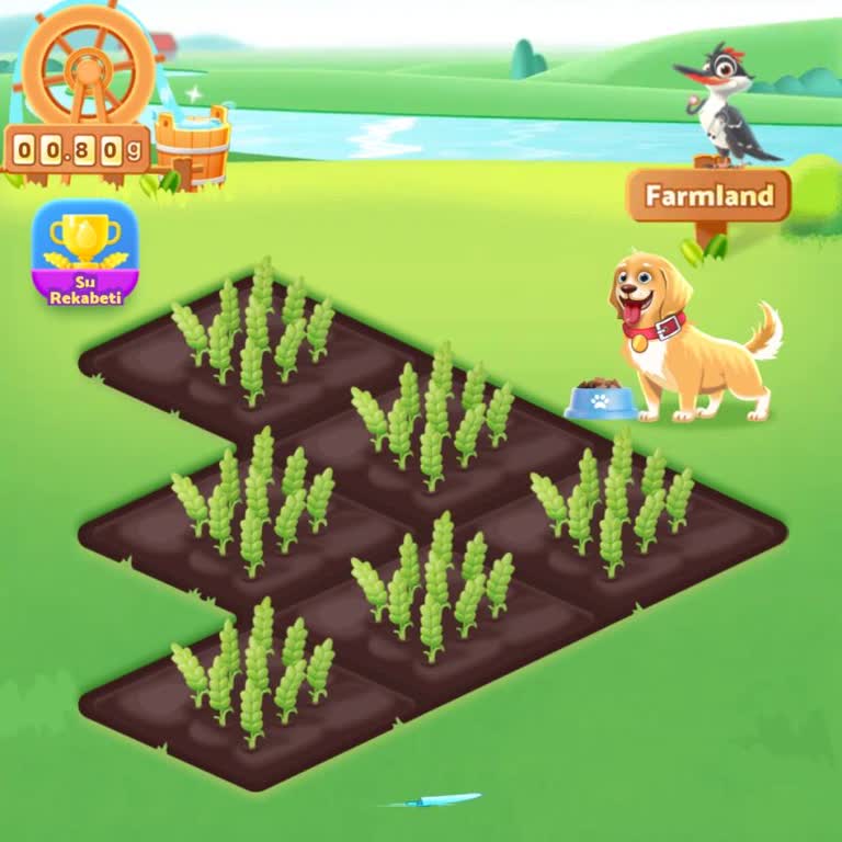 Ücretsiz Hediye Çilesi