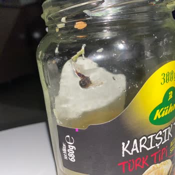 Kühne Turşudan Çıkan Sinek Mide Bulandırdı