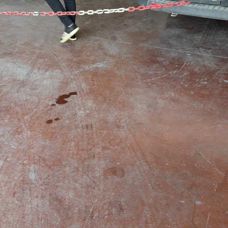 Aracımızı Teslim Ettik, Sorun Çözülmedi, 8000 TL Boşa Gitti