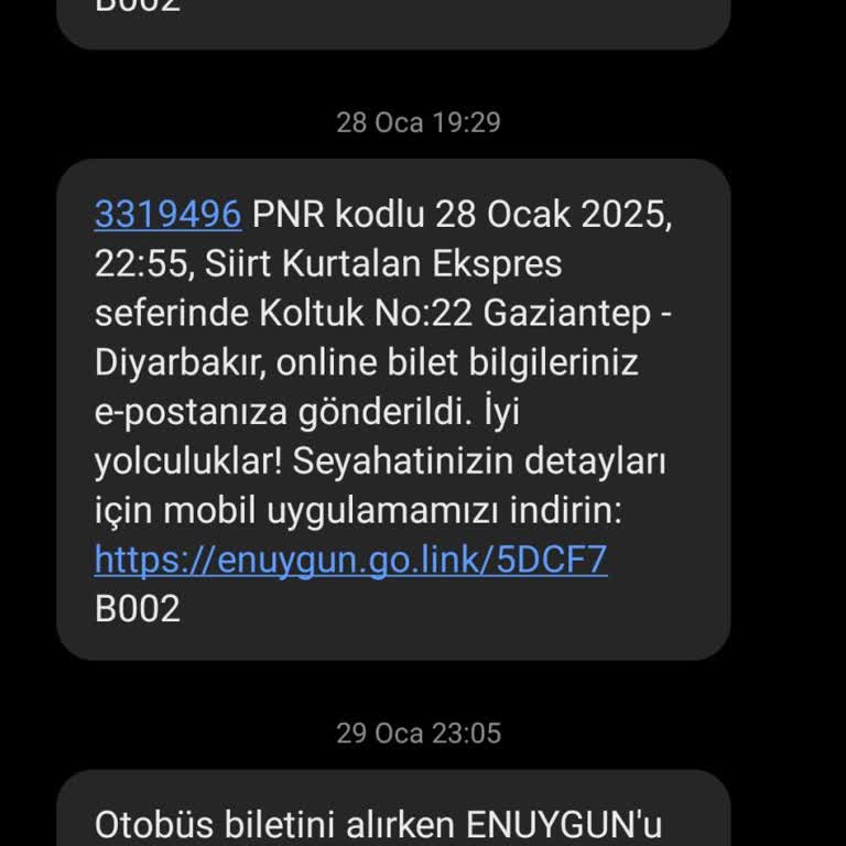 Kaba Muavin Ve Sorumsuz Hizmet: Yolculuk Kabusa Döndü