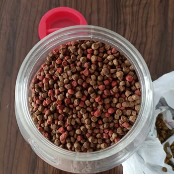 Kedi Maması İçerik Sorunu Ve Deterjan Kokusu