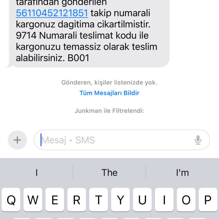 Kayıp Kedi Maması: Yanlış Teslimat Sorunu