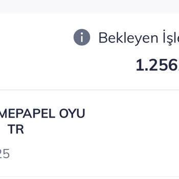 Yanıltıcı Web Sitesi Üzerinden Alışveriş