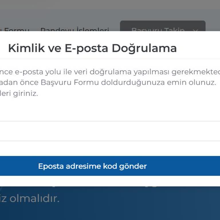 Vize Başvuru Sürecinde E-posta Onayı Sorunu