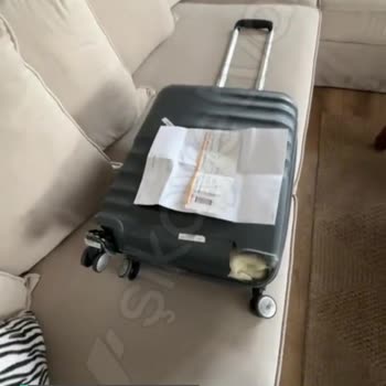 Pegasus Firmasının Kırdıkları Valizin Değerinin Ödenmemesi