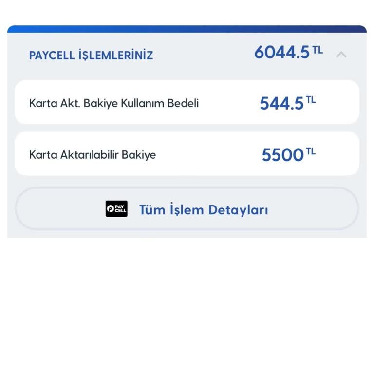 Faturada Sistem Hatası Ve Yanlış Yansıtılan Borç
