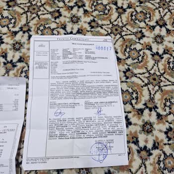 Sigorta Ödemesi Gecikmesi Mağduriyeti