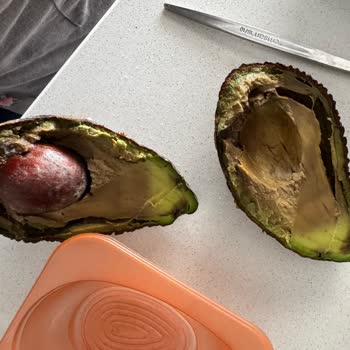 Migros'tan Aldığım Çürük Avokadolar Ve İade Sürecindeki Zorluklar