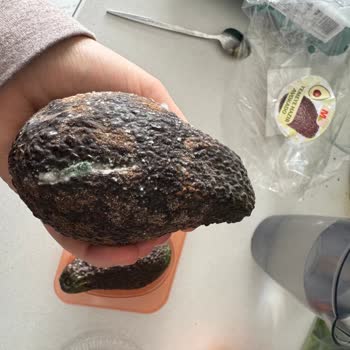 Migros'tan Aldığım Çürük Avokadolar Ve İade Sürecindeki Zorluklar