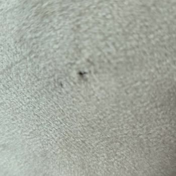 Mobilya Siparişi Ve Teslimat Sorunları