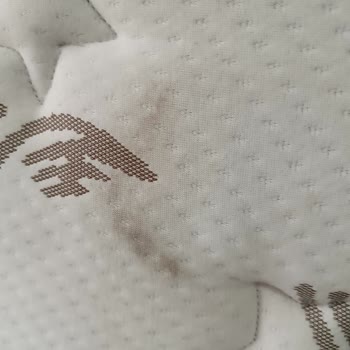 Mobilya Siparişi Ve Teslimat Sorunları