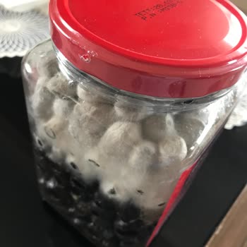 Tarihi Geçmemiş Üründe Küf Sorunu