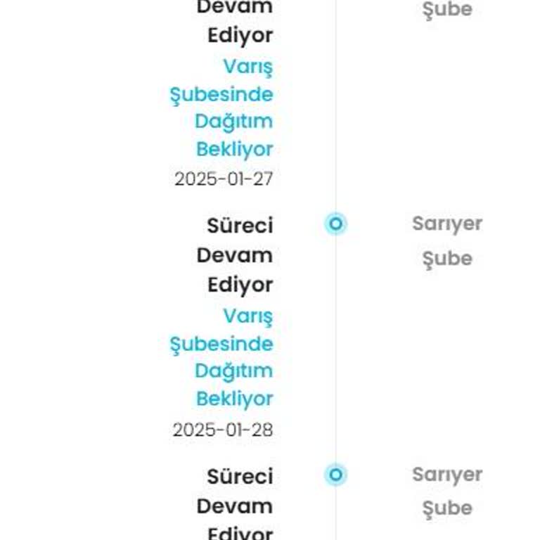Massimo Dutti Online Siparişimde Kargo Gecikmesi Ve İletişim Sorunu