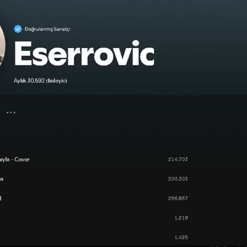 İzinsiz Şarkı Yükleme Sorunu