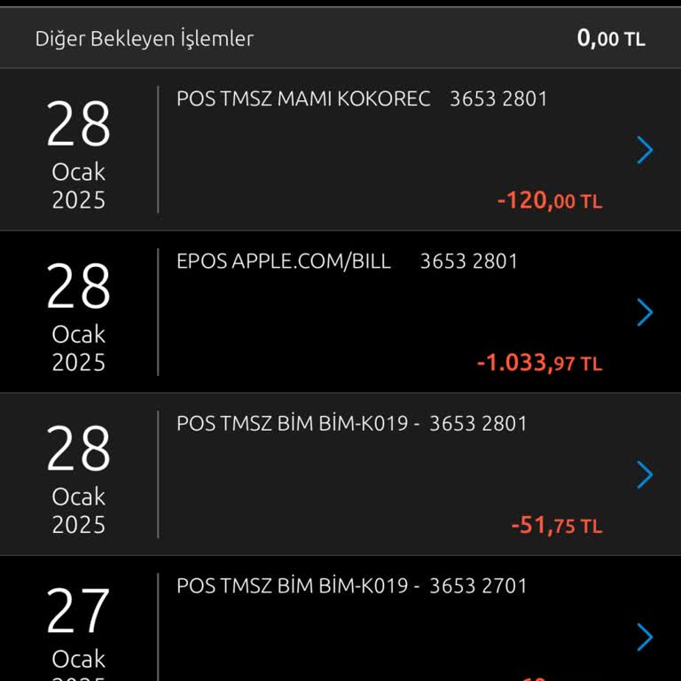 İzinsiz Hesap Kesintisi Şikayeti