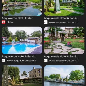 Çocuk Kabul Edilmeyen İşletmede Köpekler Serbest