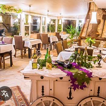 Çocuk Kabul Edilmeyen İşletmede Köpekler Serbest