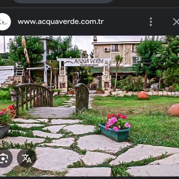 Çocuk Kabul Edilmeyen İşletmede Köpekler Serbest