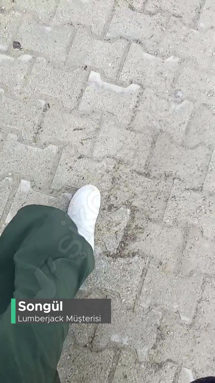 Lumberjack Bot Sesi! videonun kapak resmi