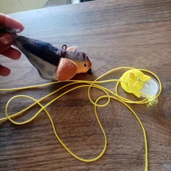 Lypora Sitesinden Gelen Oyuncak Hayal Kırıklığı